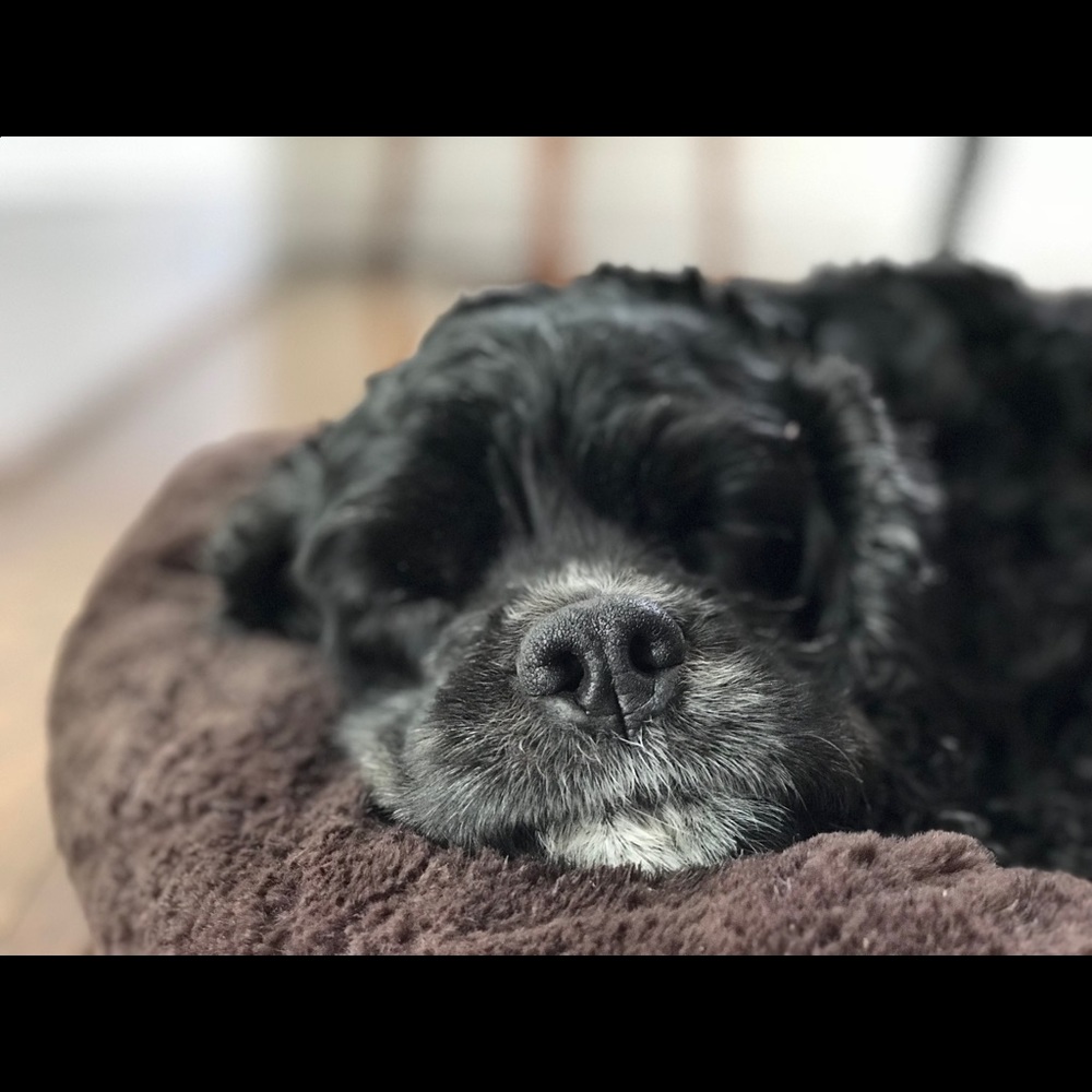 Meet your Posher, Maria